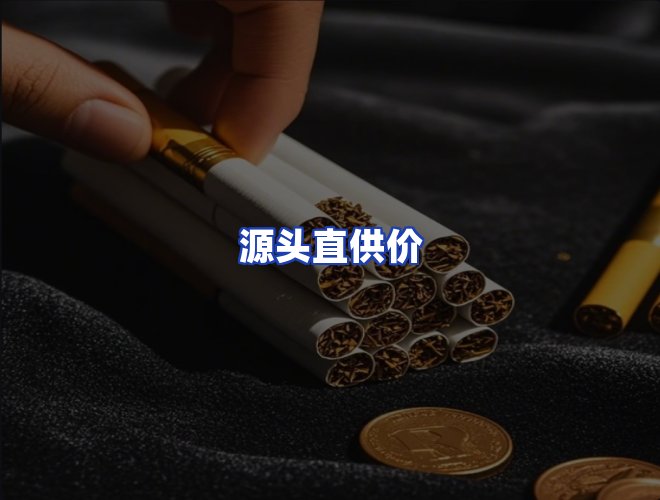专业团队
